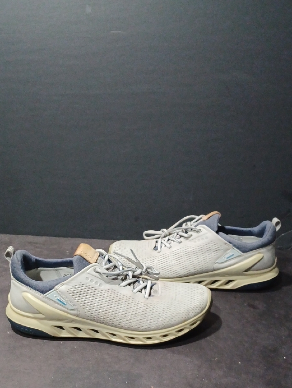 ECCO GORE-TEX Biom Pro Golf MENS Shoes Sz 10 PRE-OWNED